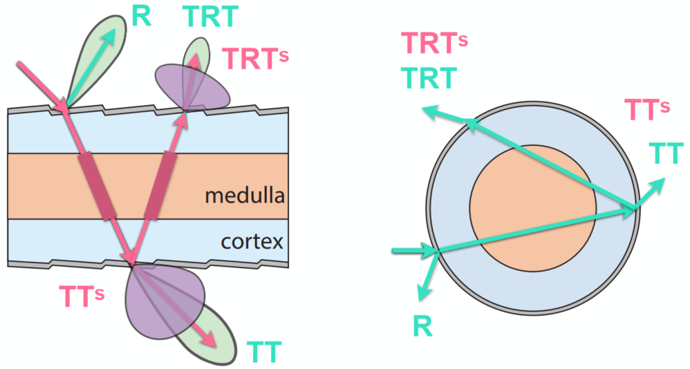 image-20211225162549901