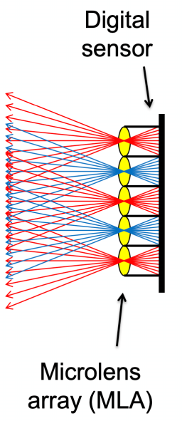 image-20220113003942494