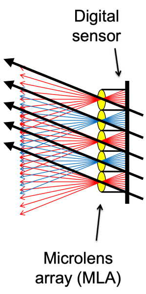 image-20220113004306452