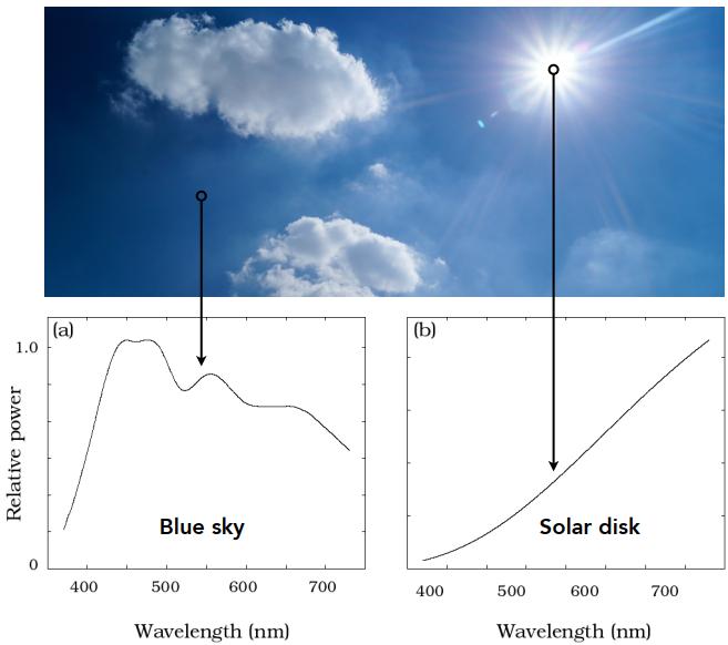 image-20220113114242945