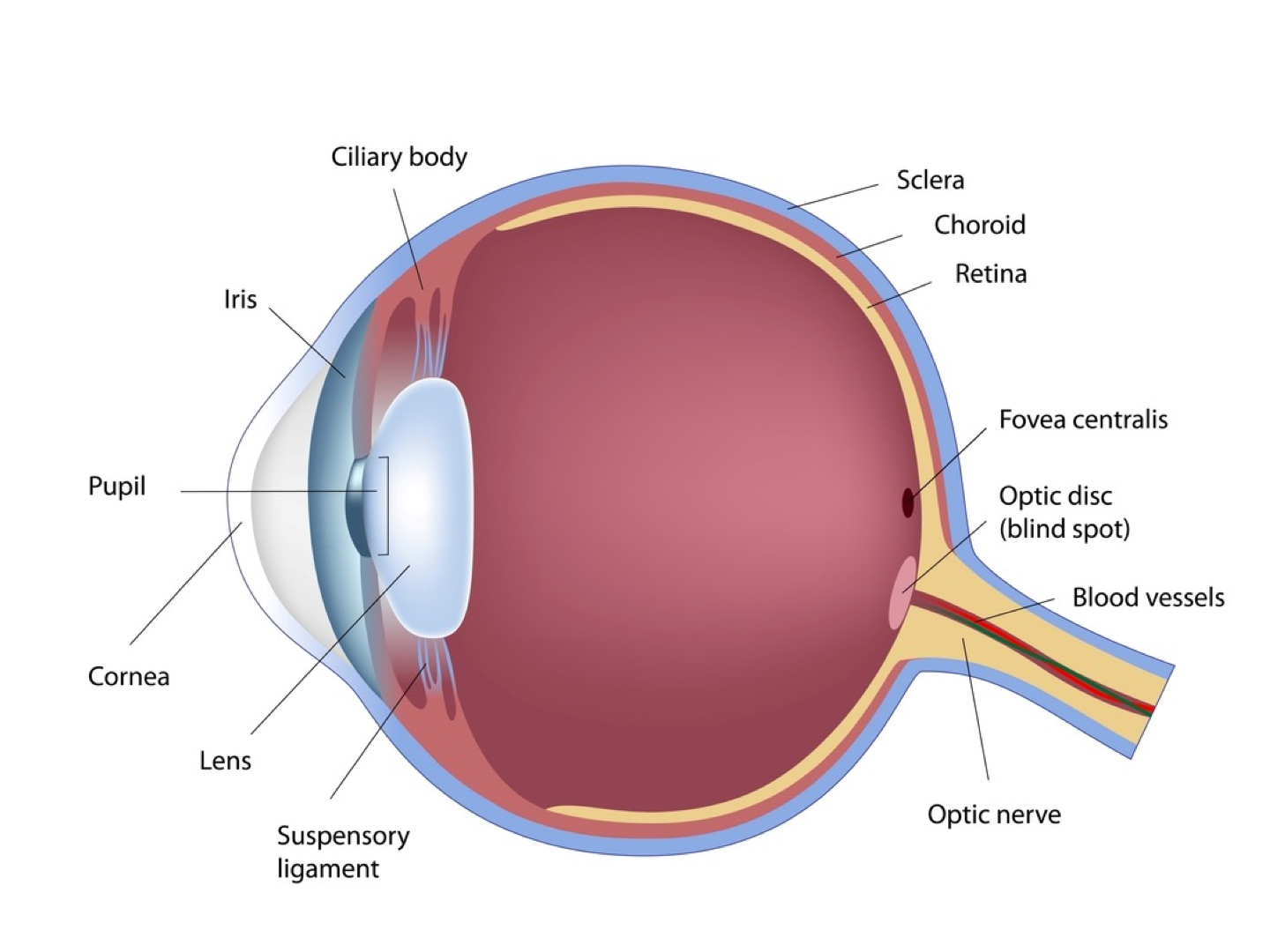 image-20220113114646978