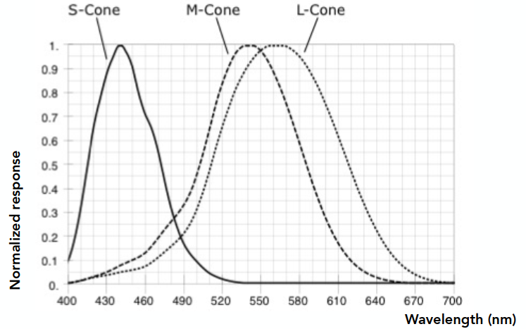 image-20220113115240954