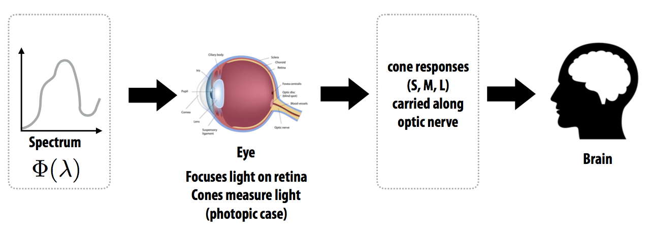 image-20220113115849174