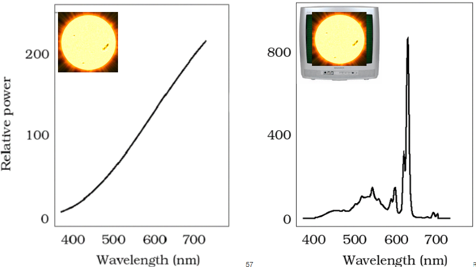 image-20220113130425592