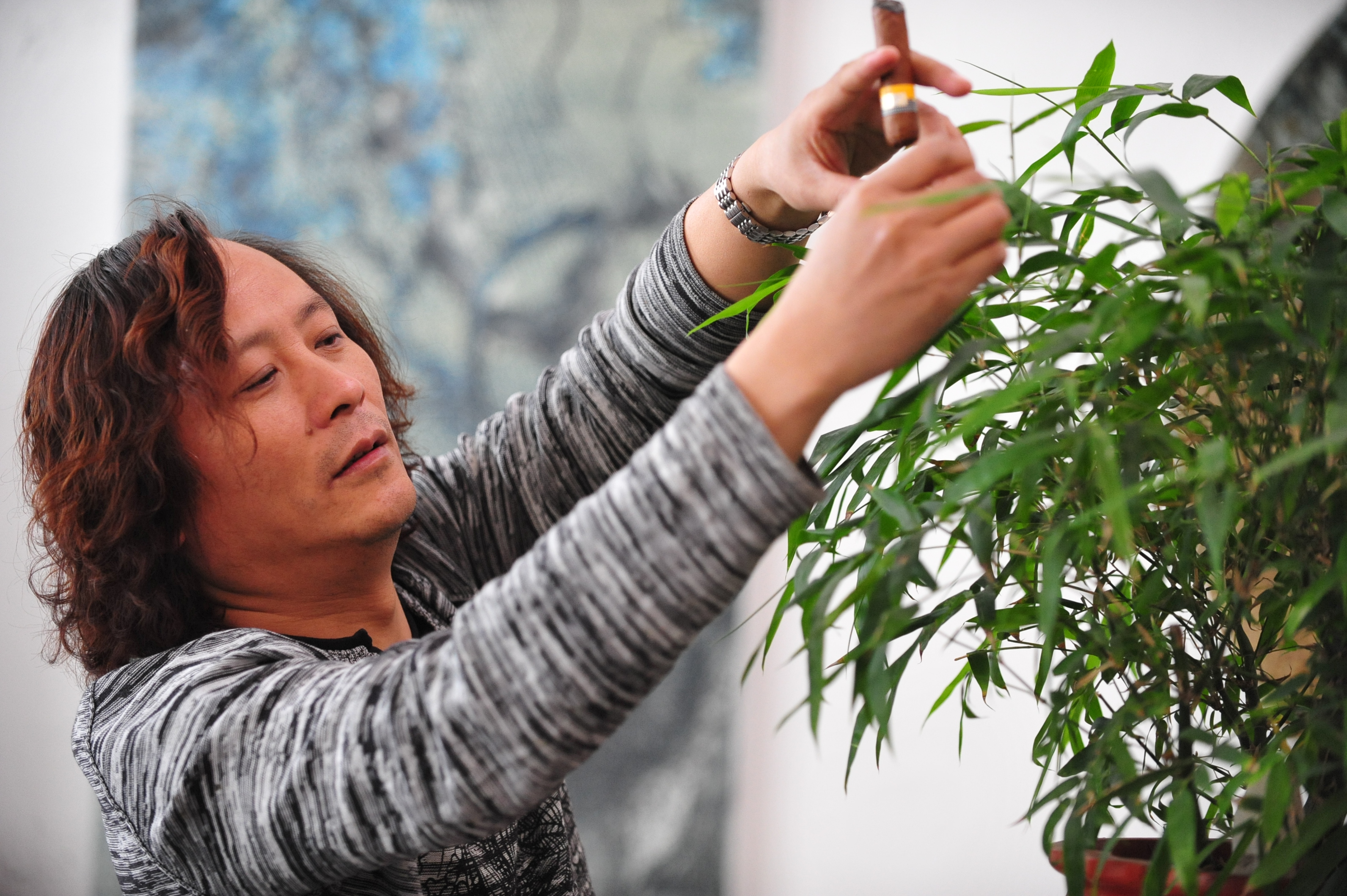 李奇安作品背景