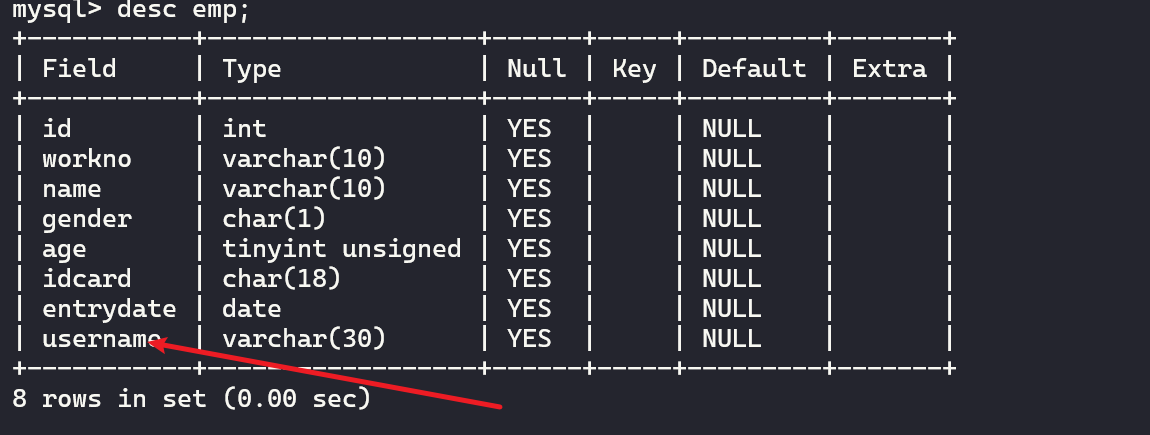 image-20230423124943398