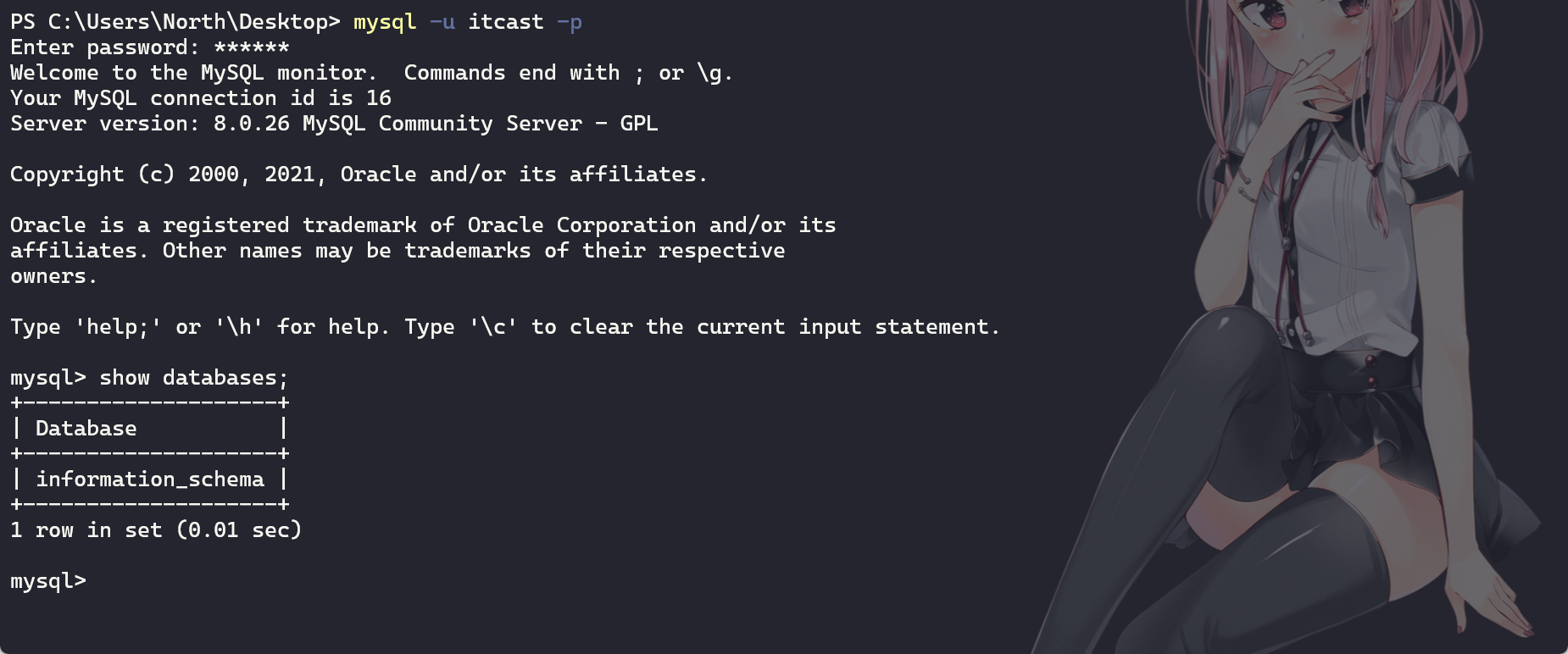 image-20230429220415116