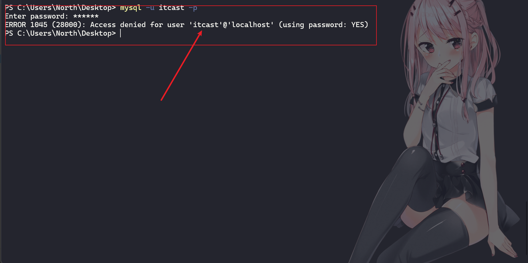 image-20230429221306572