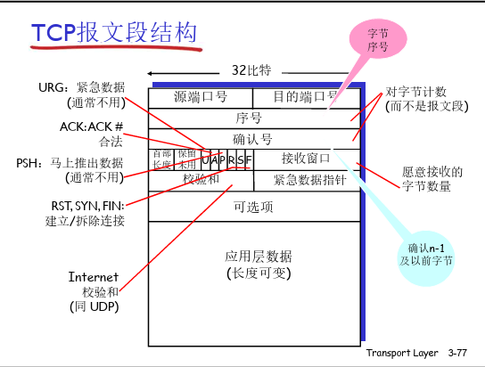 TCP报文段