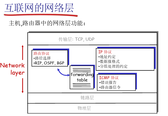 网络层协议