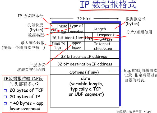 IP数据报