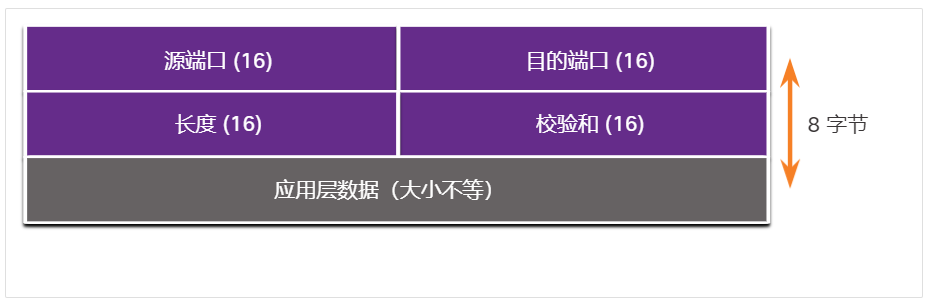 UDP 报头中的字段
