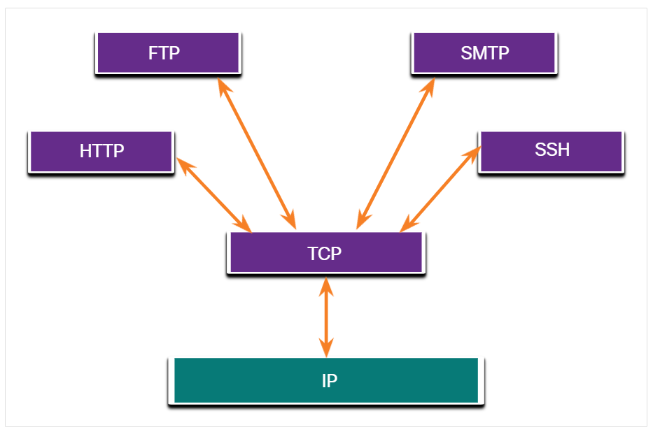 指向两个方向的箭头，从HTTP、FTP、SMTP和SSH指向TCP，然后从TCP指向IP