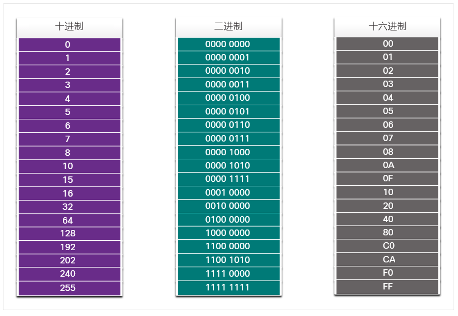 选定的十进制、二进制和十六进制等值数字