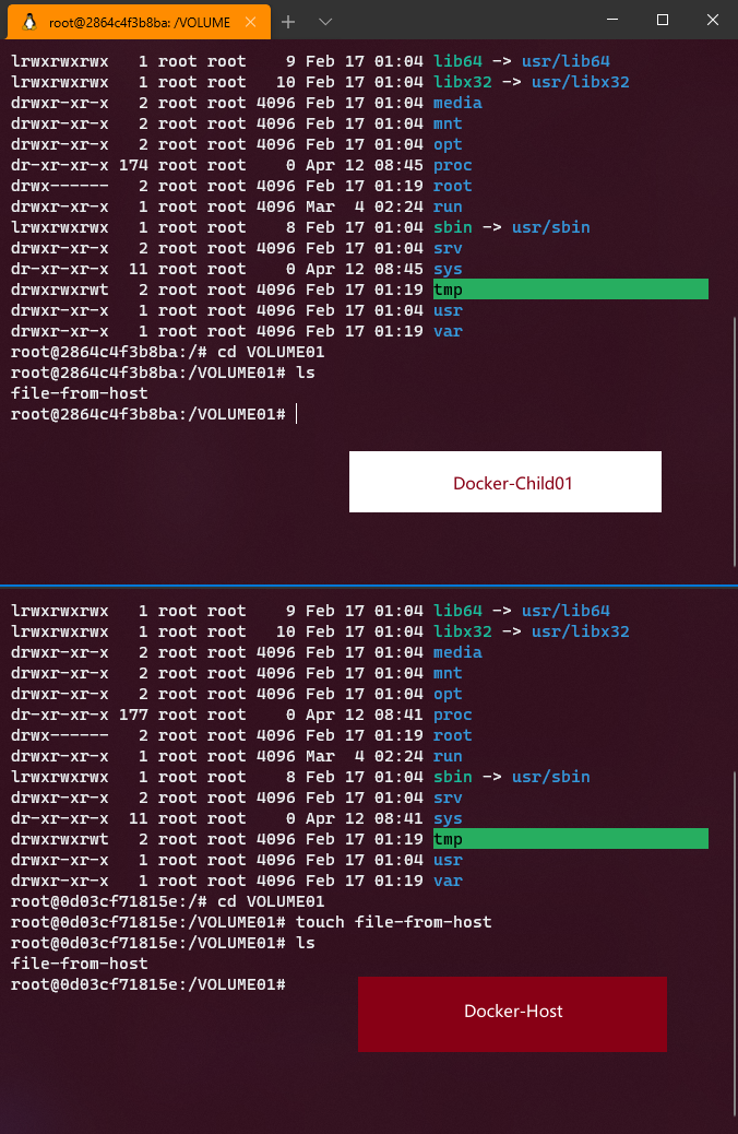 当我们在父容器 Docker-Host 中创建文件时，子容器 Docker-Child01 会同步文件