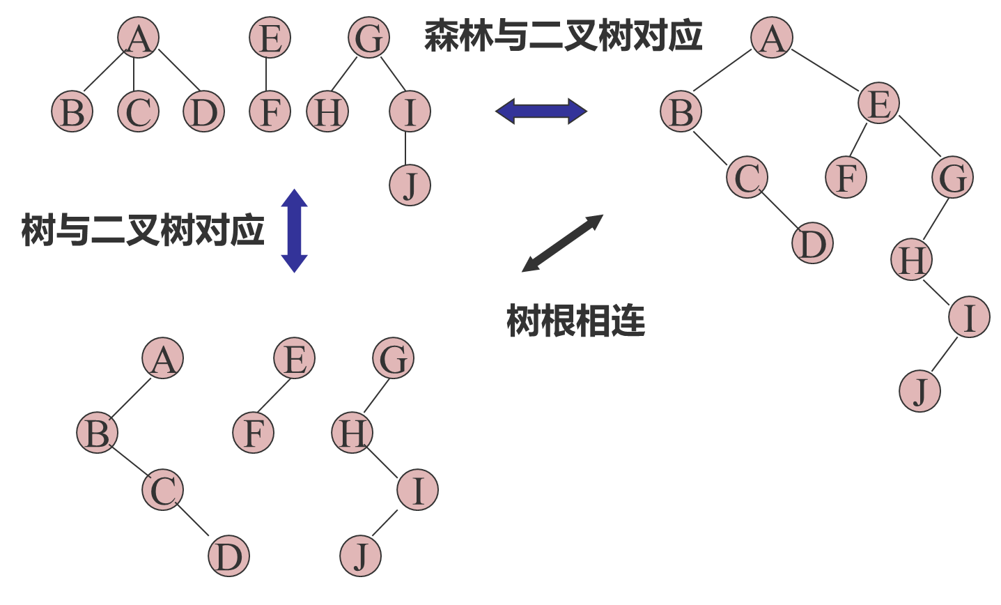 image-20250629090341996