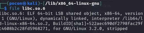 image-20241126222805442