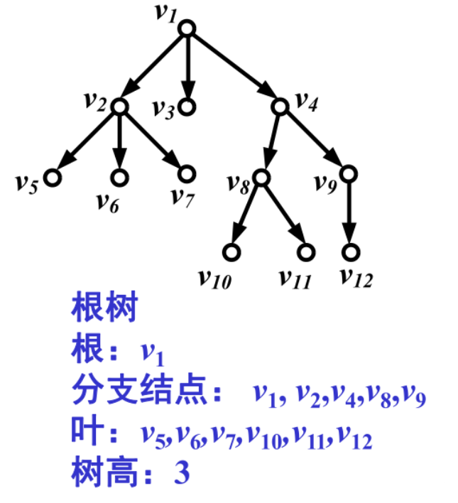 image-20250107134802324