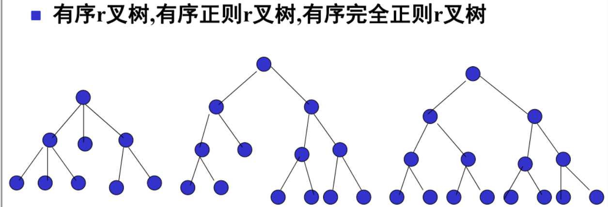 image-20250107135057284