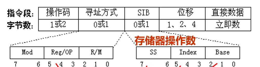 image-20250113154637972