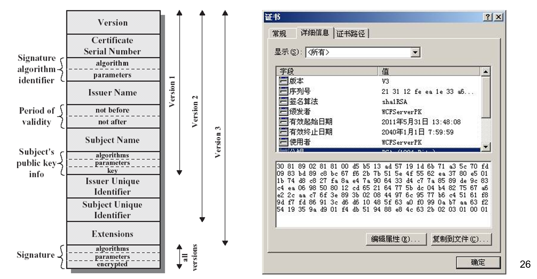 image-20250611213835620
