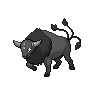 tauros-paldea-combat-breed