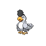 squawkabilly-white-plumage