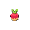 Knapfel