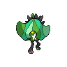 normal (dorso)
