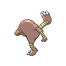 normal (dorso)