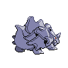 normal (dorso)