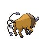 normal (dorso)