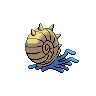 normal (dorso)
