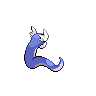 normal (dorso)