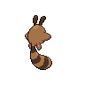 normal (dorso)