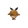 normal (dorso)