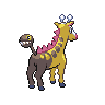 normal (dorso)