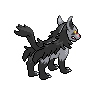 normal (dorso)