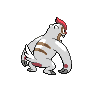 normal (dorso)