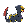normal (dorso)