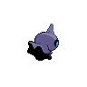 normal (dorso)