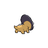 normal (dorso)