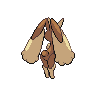 normal (dorso)