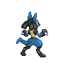 normal (dorso)