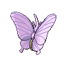 normal (dorso)