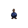 normal (dorso)