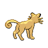 normal (dorso)