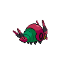 normal (dorso)