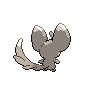 normal (dorso)