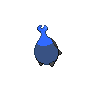 normal (dorso)